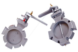 Wafer style Butterfly valve in Chennai
